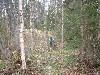 2003_0516_bosonderhoud 4.jpg